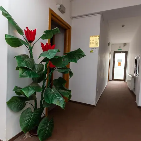 Hotel Sir Colentina-3